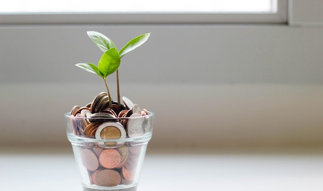 How Independent Wealth Management Can Help You Build Financial Freedom