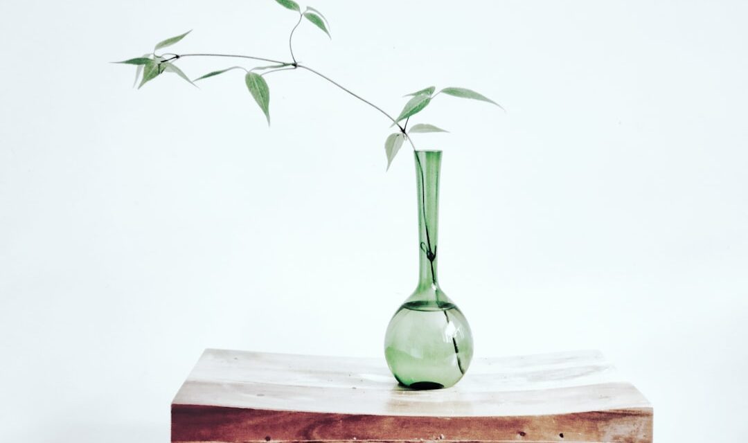 Lean FIRE: Achieve Financial Independence on a Minimalist Budget